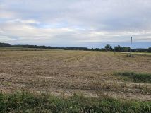 Działka rolna Chojny. Zdjęcie 2