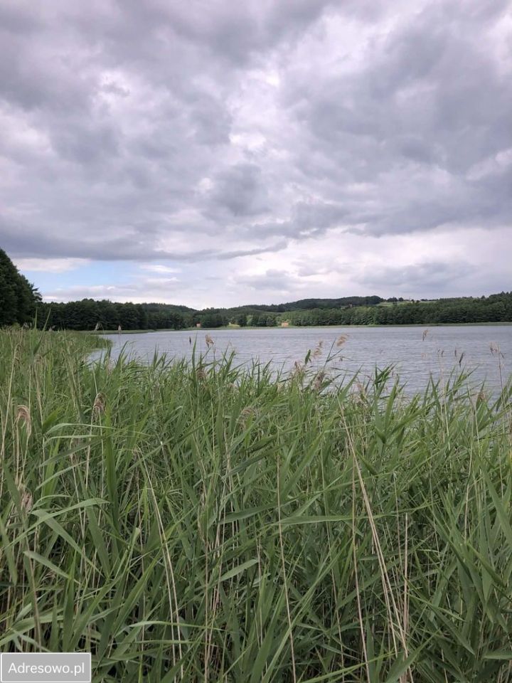 Działka budowlana Swojki. Zdjęcie 6