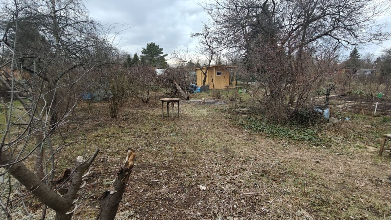 Działka rod Wrocław Śródmieście, ul. Odona Bujwida. Zdjęcie 8