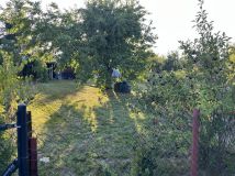 Działka rod Droszków. Zdjęcie 4
