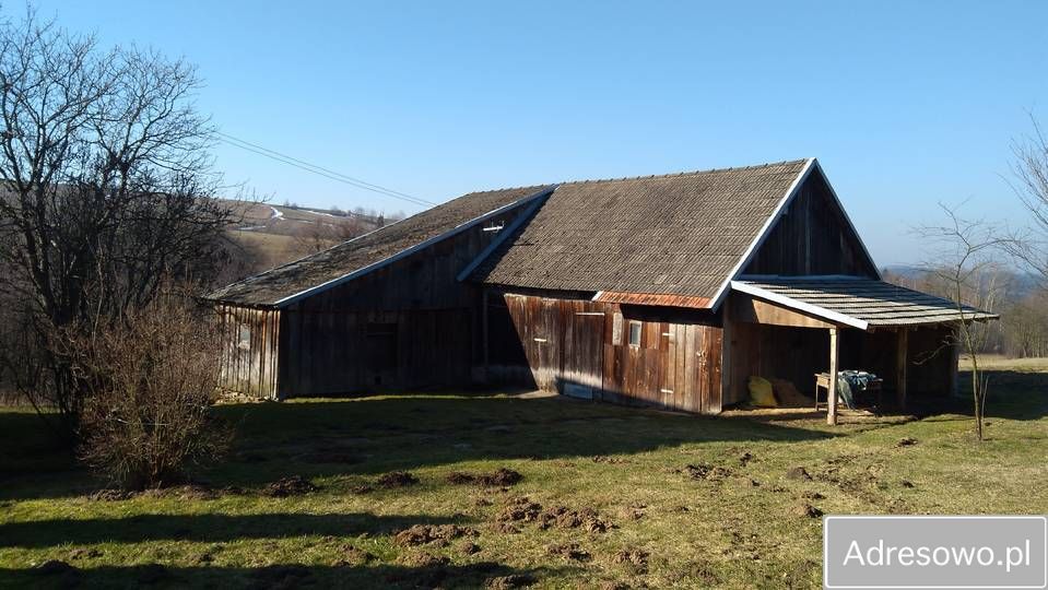 gospodarstwo Turza. Zdjęcie 3