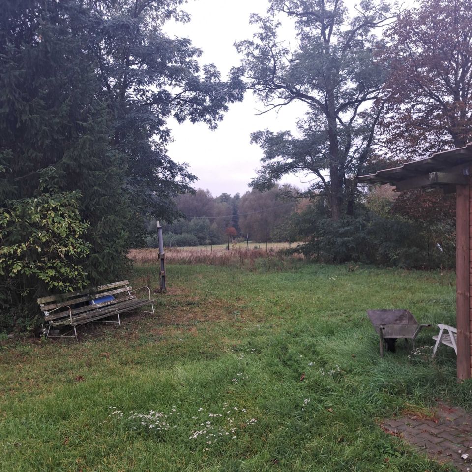 Działka rolno-budowlana Szczawin. Zdjęcie 6