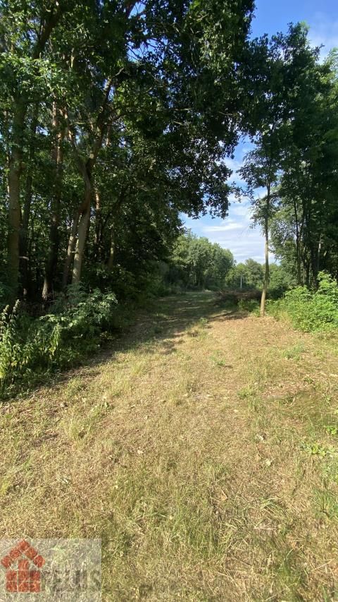 Działka rolno-budowlana Czernichów. Zdjęcie 9