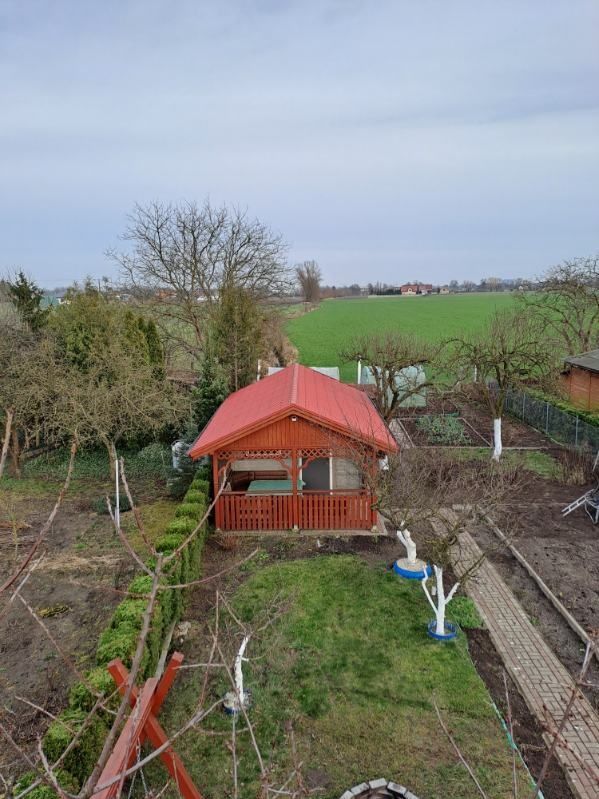 Działka rod Grodzisk Wielkopolski, ul. Działkowa. Zdjęcie 5