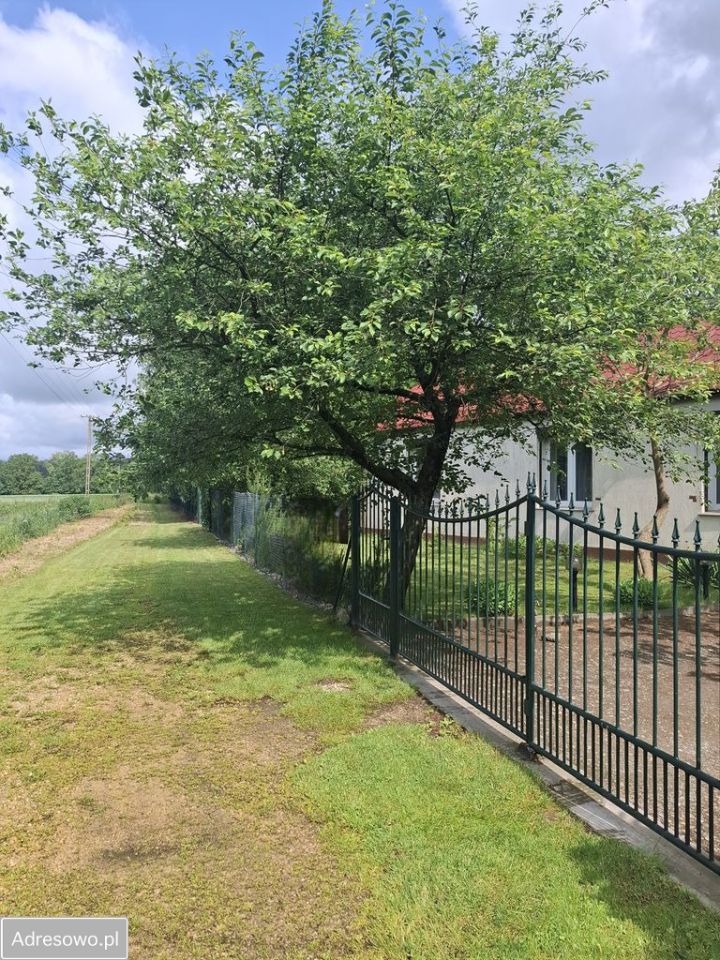 siedlisko Janaszów. Zdjęcie 19