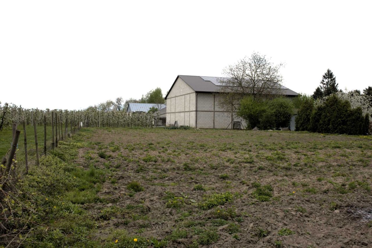 gospodarstwo Obrazów. Zdjęcie 6