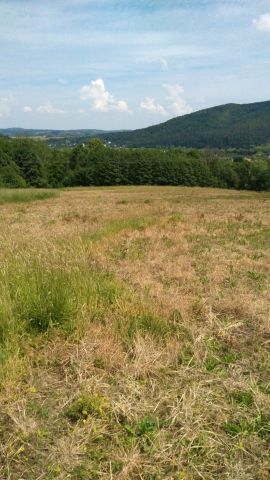 Działka inna Gorzeń Górny, Pod Iłowcem, 34-100 Gorzeń Górny. Zdjęcie 1