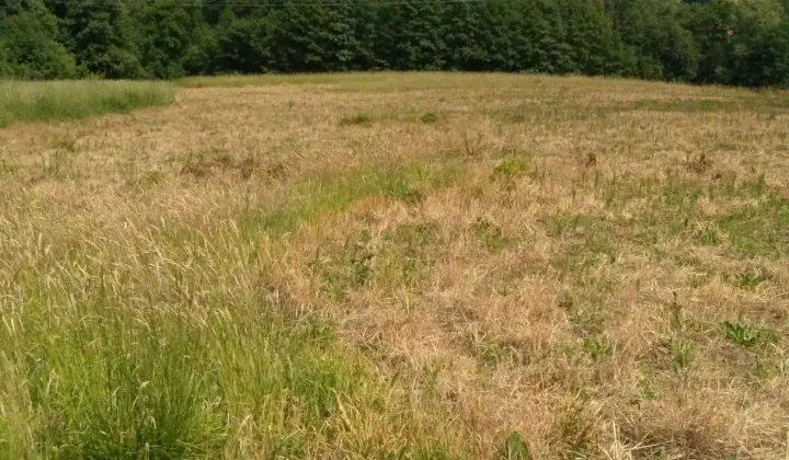 Działka inna Gorzeń Górny