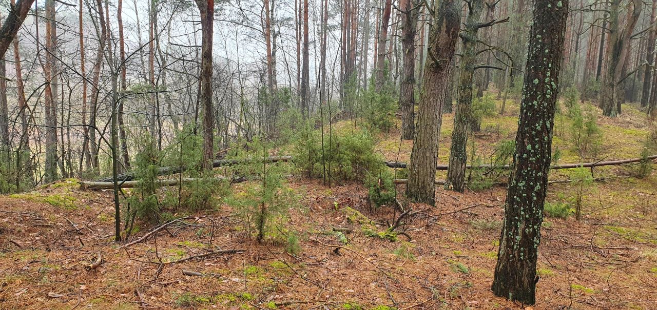 Działka rekreacyjna Nowe Łachy. Zdjęcie 6