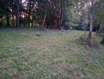 Działka budowlana Dąbczyn. Zdjęcie 2