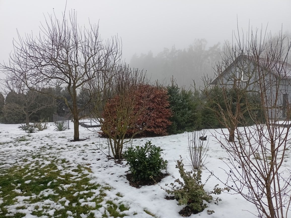 Działka budowlana Stróżewko. Zdjęcie 8