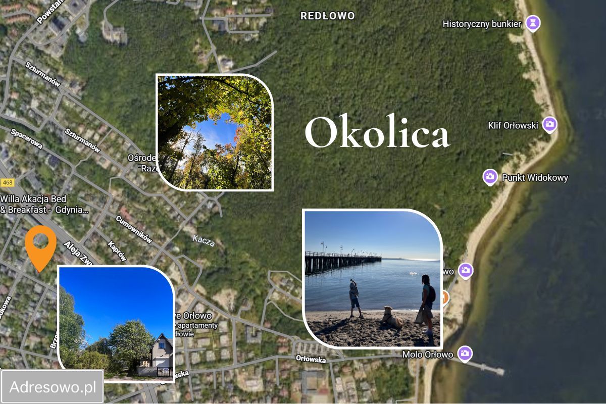 Działka inwestycyjna Gdynia Orłowo, ul. Bukowa. Zdjęcie 5