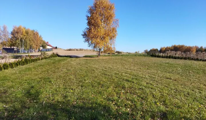 Działka rolna Bibice, ul. Leszczynowa