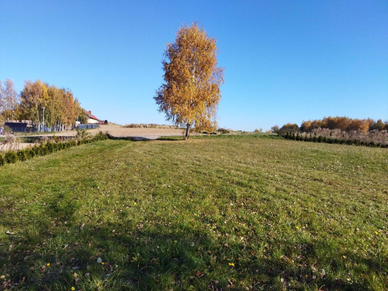 Działka rolna Bibice, ul. Leszczynowa. Zdjęcie 1