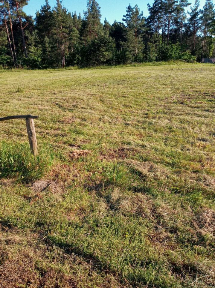Działka budowlana Morawica, ul. Szkolna. Zdjęcie 3