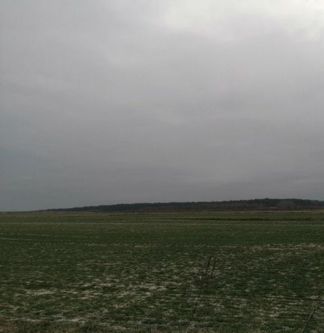 Działka budowlana Turka. Zdjęcie 1