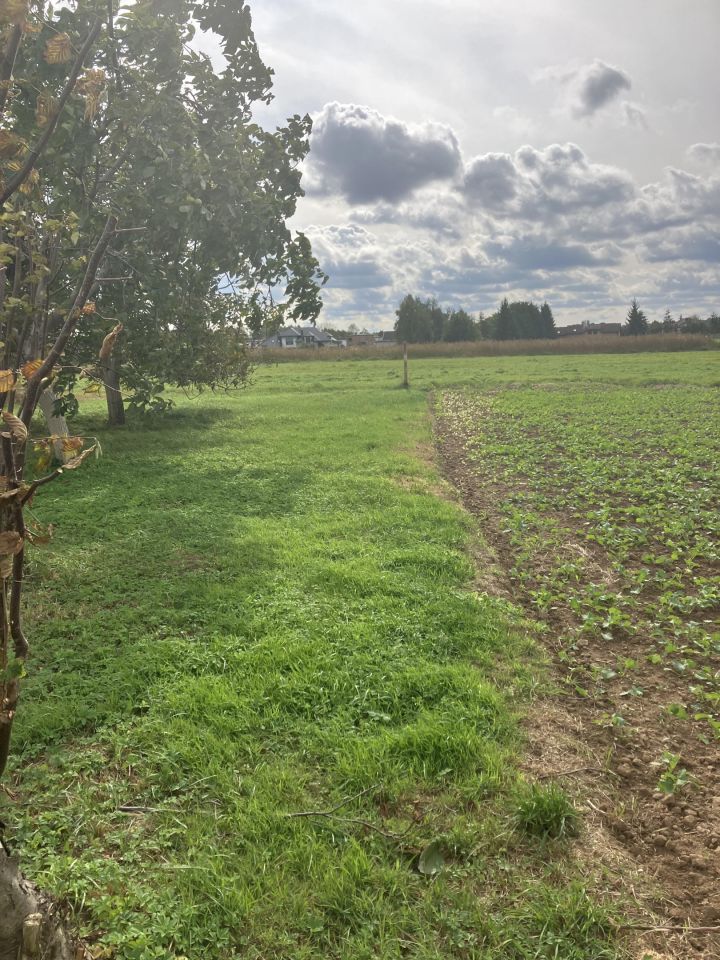 Działka budowlana Kochanowice, ul. Ostrowska. Zdjęcie 2