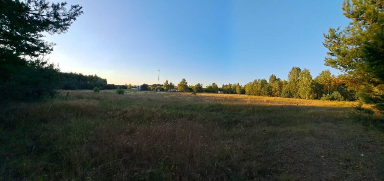 Działka siedliskowa Orłowo. Zdjęcie 4