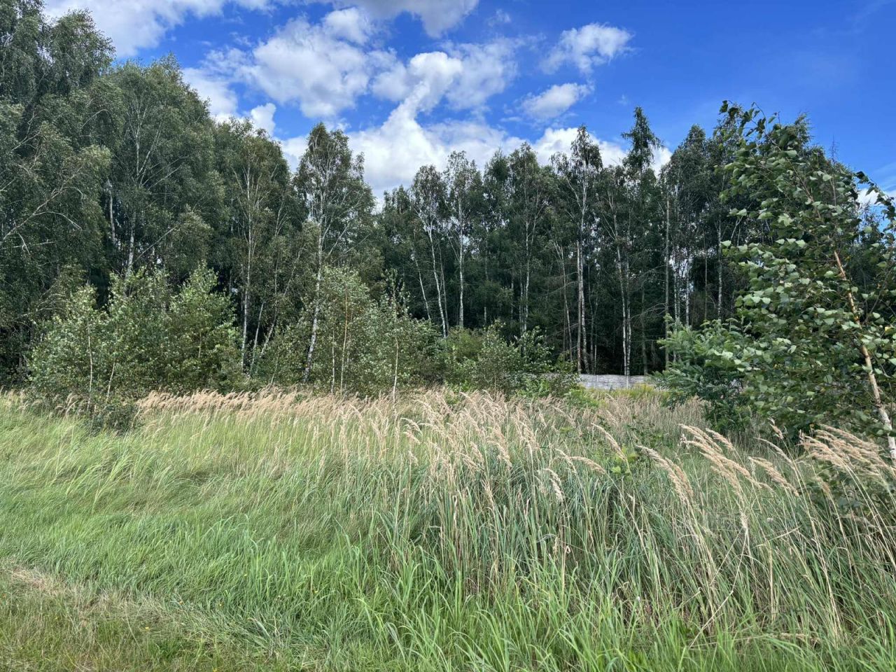 Działka budowlana Nekla, ul. Polna. Zdjęcie 3