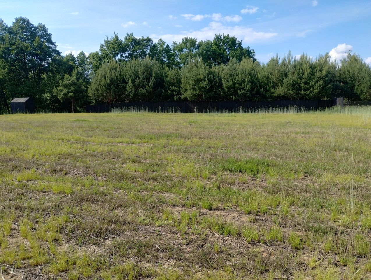 Działka rekreacyjna Burlaki Holendry, ul. Holendrów. Zdjęcie 14