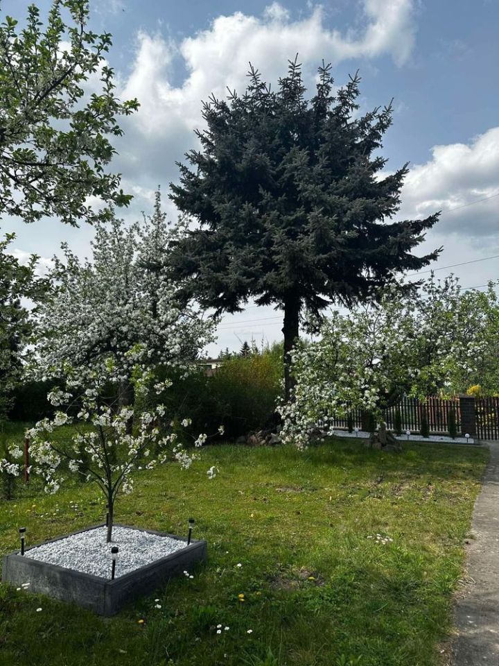 Działka rod Kalisz. Zdjęcie 4