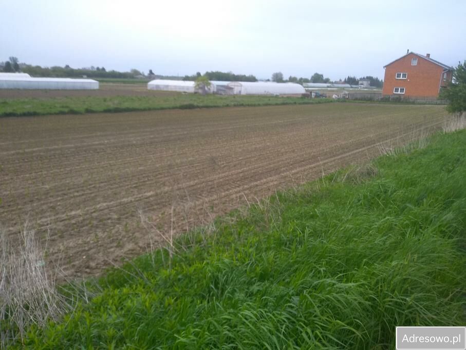 Działka rolna Dwikozy. Zdjęcie 3