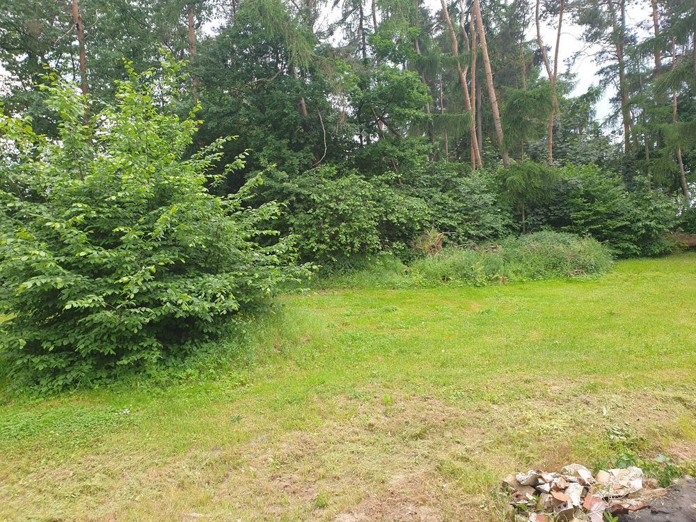 Działka budowlana Kalinowice. Zdjęcie 5