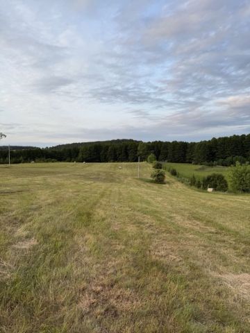 Działka rolno-budowlana Wierzbowo. Zdjęcie 1