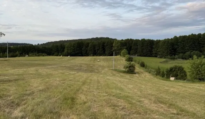 Działka rolno-budowlana Wierzbowo