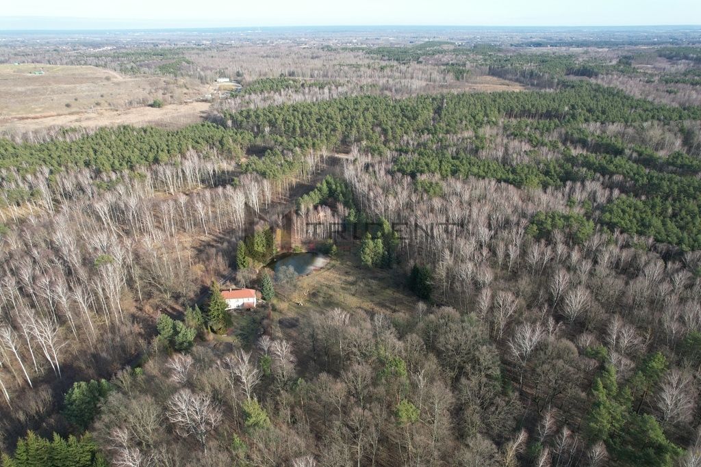 Działka budowlana Baniocha, ul. Podleśna. Zdjęcie 9