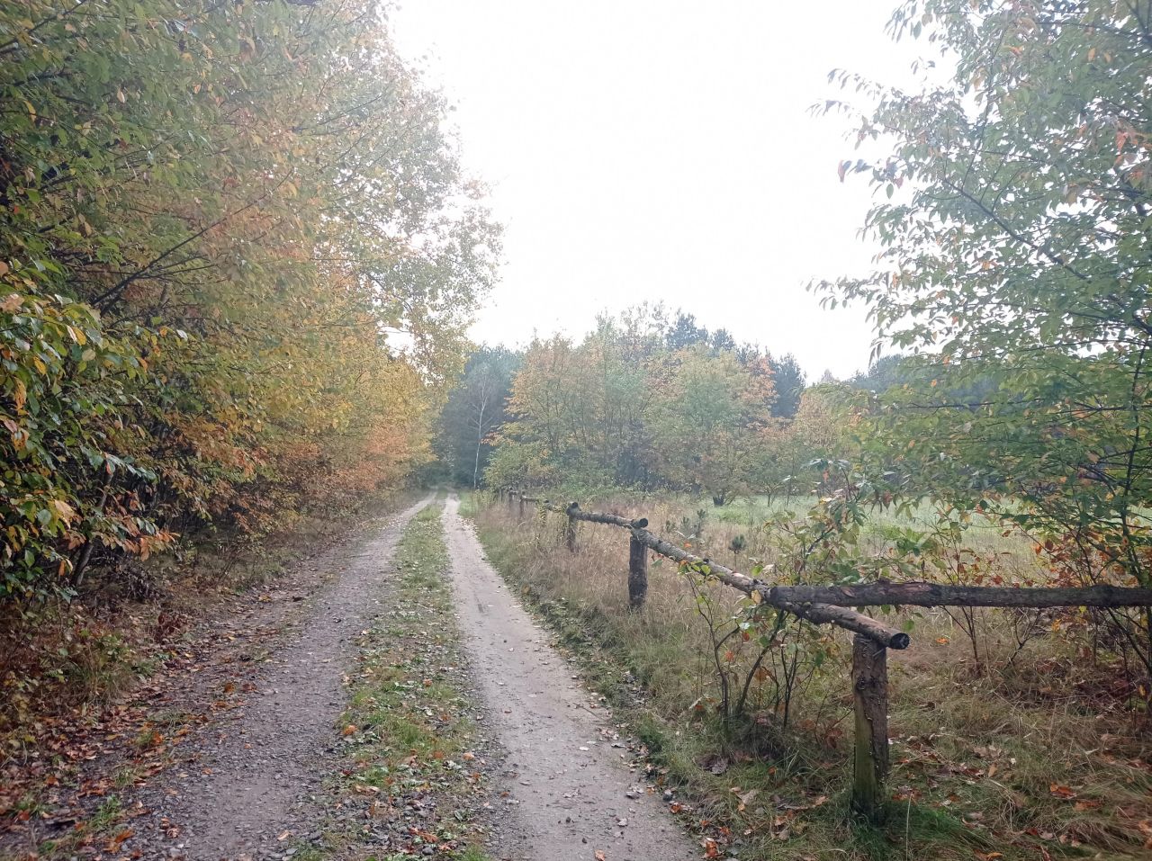 Działka rolno-budowlana Rzeczyca Długa Zastruże. Zdjęcie 4