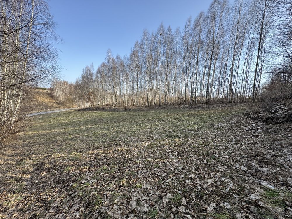 Działka rolna Płouszowice. Zdjęcie 5