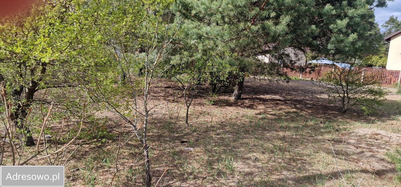 Działka budowlana Mostówka, ul. Napoleońska. Zdjęcie 2