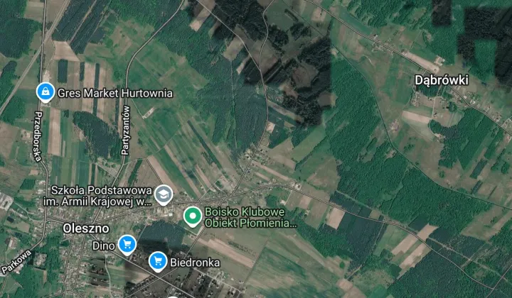 Działka leśna Oleszno, ul. Leśna
