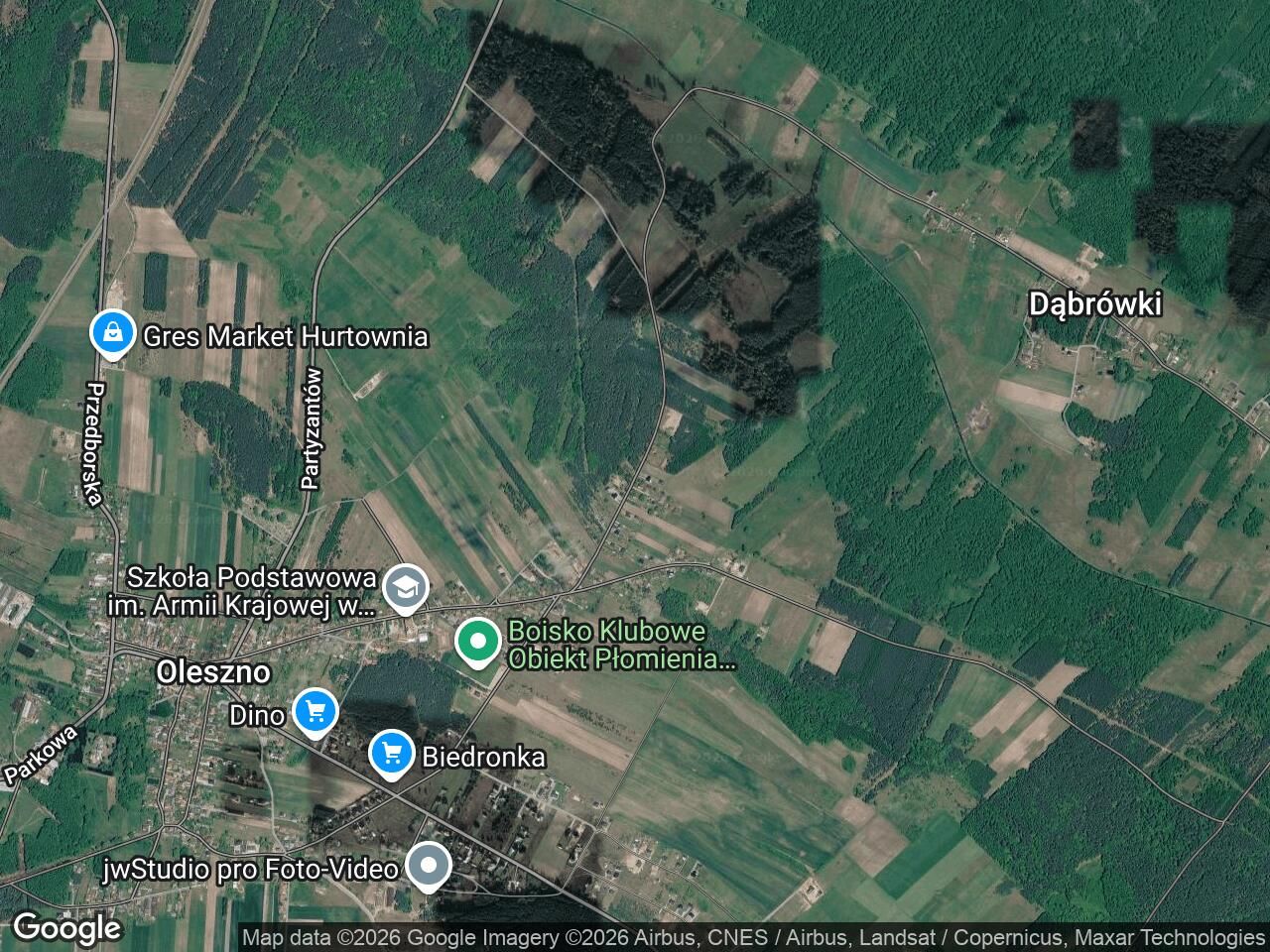 Działka leśna Oleszno, ul. Leśna. Zdjęcie 1