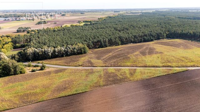 Działka leśna Maurzyce. Zdjęcie 5