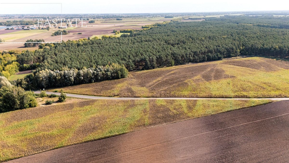 Działka leśna Maurzyce. Zdjęcie 5
