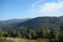 Działka inwestycyjna Brenna Leśnica, ul. Orłowa. Zdjęcie 2