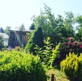 Działka rod Koszalin. Zdjęcie 3