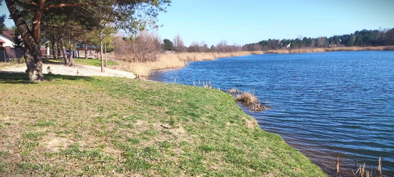 Działka rekreacyjna Brzóze Duże. Zdjęcie 4