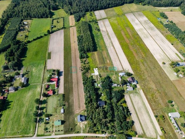 Działka siedliskowa Trzcianki. Zdjęcie 3