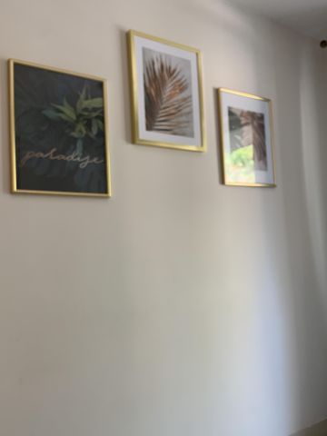 Mieszkanie 1-pokojowe Wrocław Śródmieście, ul. gen. Kazimierza Pułaskiego. Zdjęcie 2