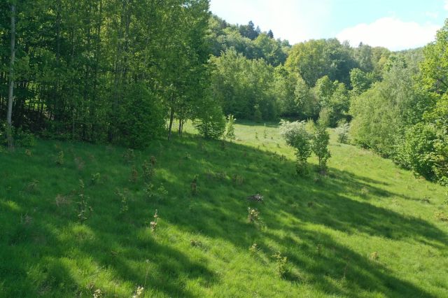 Działka budowlana Piechowice. Zdjęcie 14