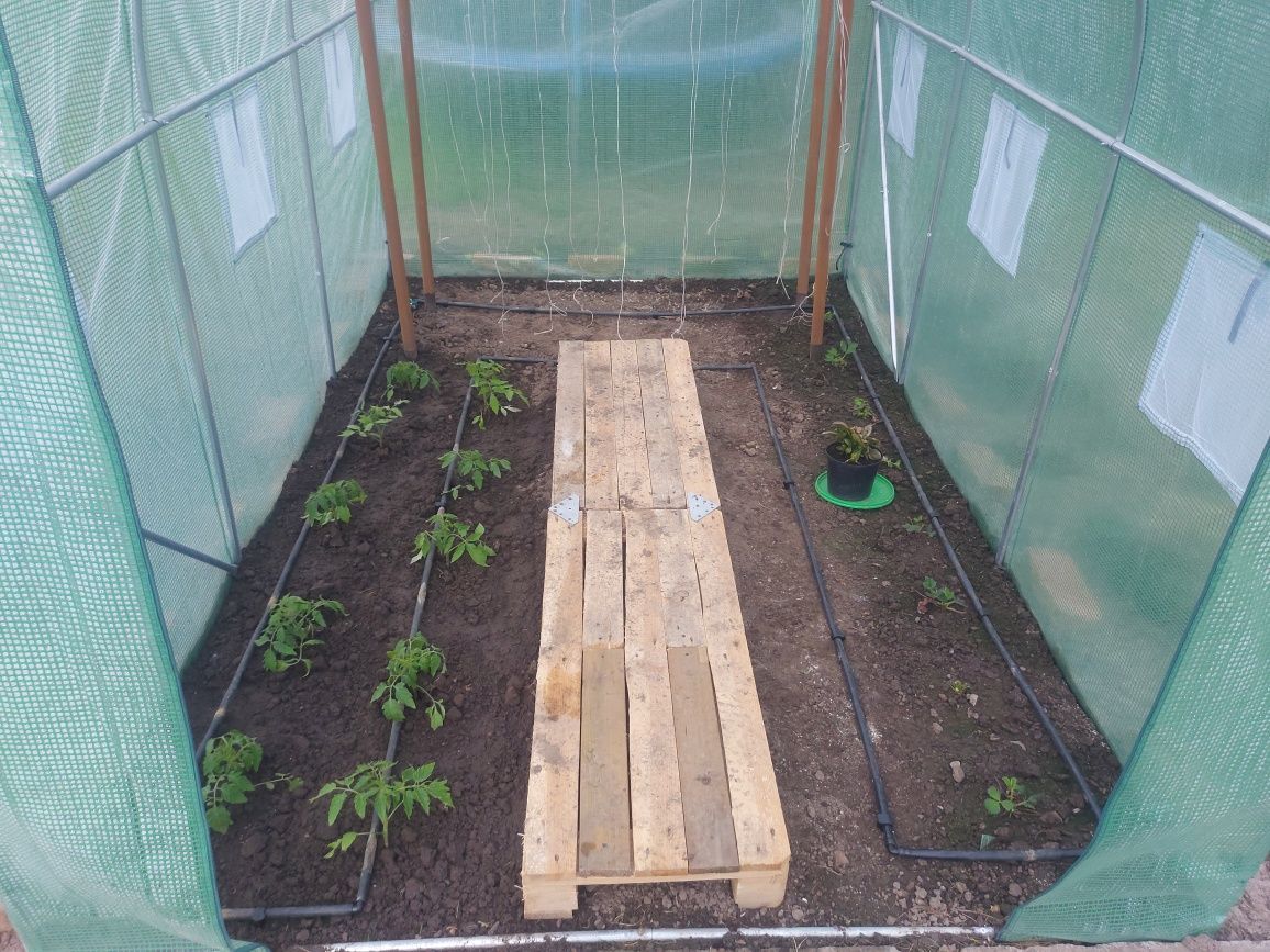 Działka rod Bielany Wrocławskie. Zdjęcie 5