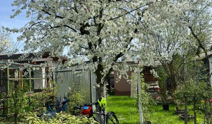 Działka rod Wrocław Fabryczna