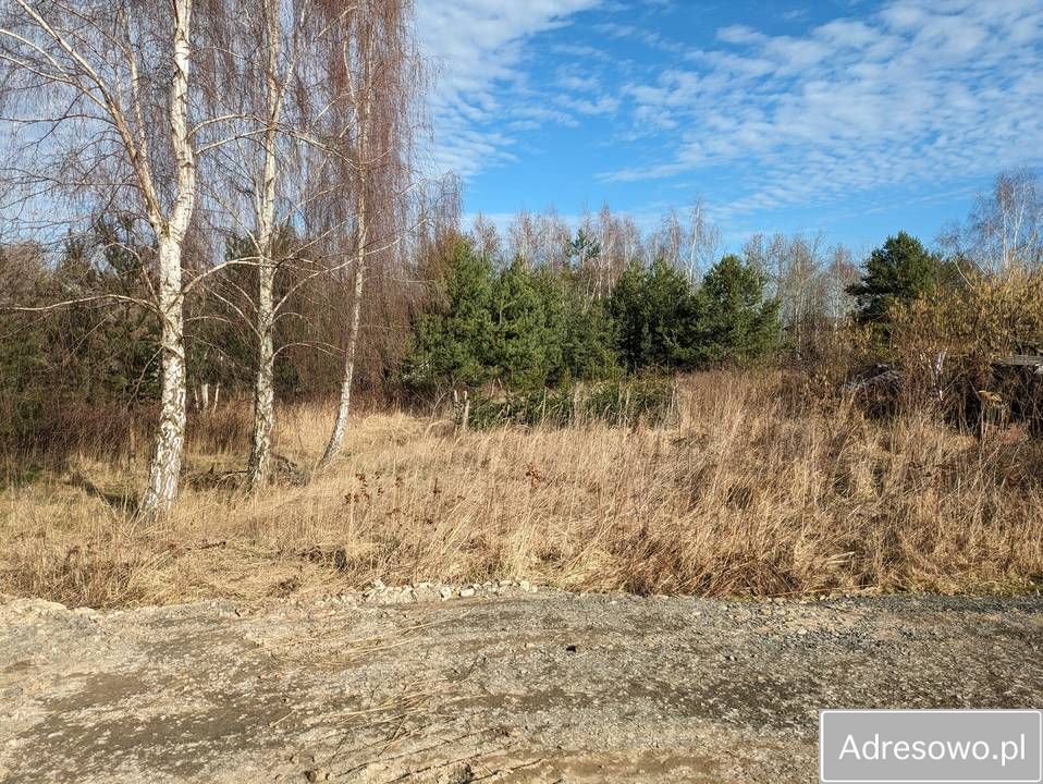 Działka budowlana Okmiany. Zdjęcie 8