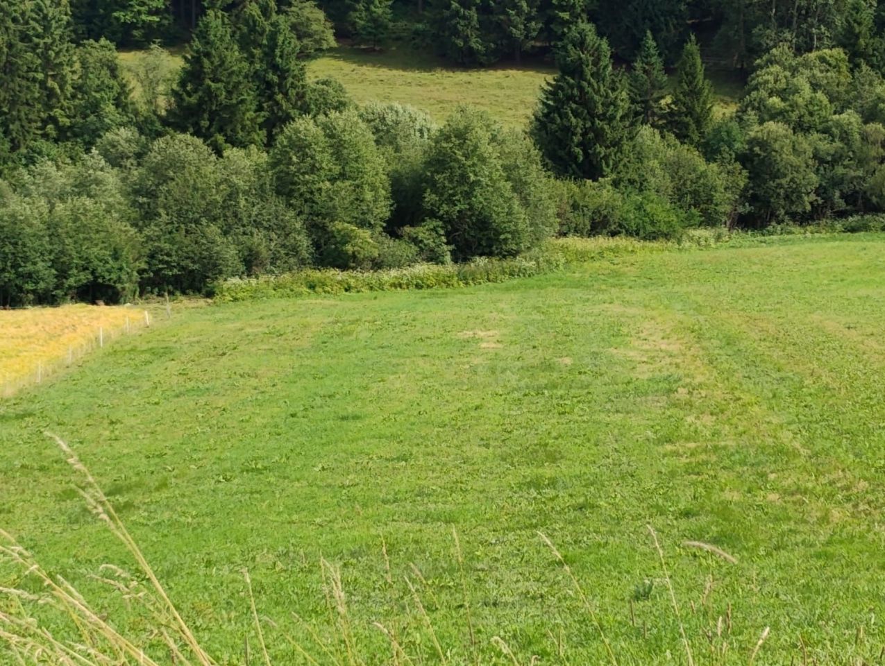 Działka rolna Niedzica. Zdjęcie 2