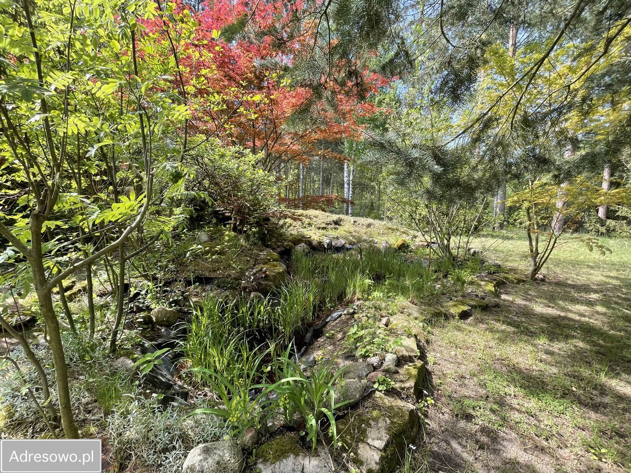 dom wolnostojący, 3 pokoje Zborów. Zdjęcie 14