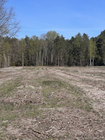 Działka budowlana Czarnocin. Zdjęcie 6