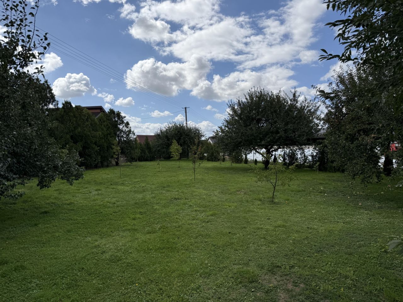 Zdjęcie 8